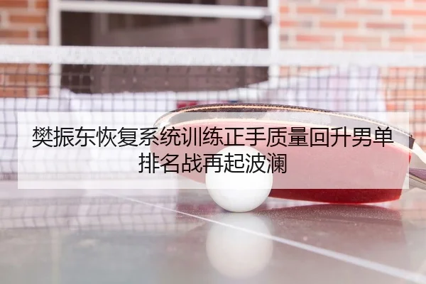 樊振东恢复系统训练正手质量回升男单排名战再起波澜